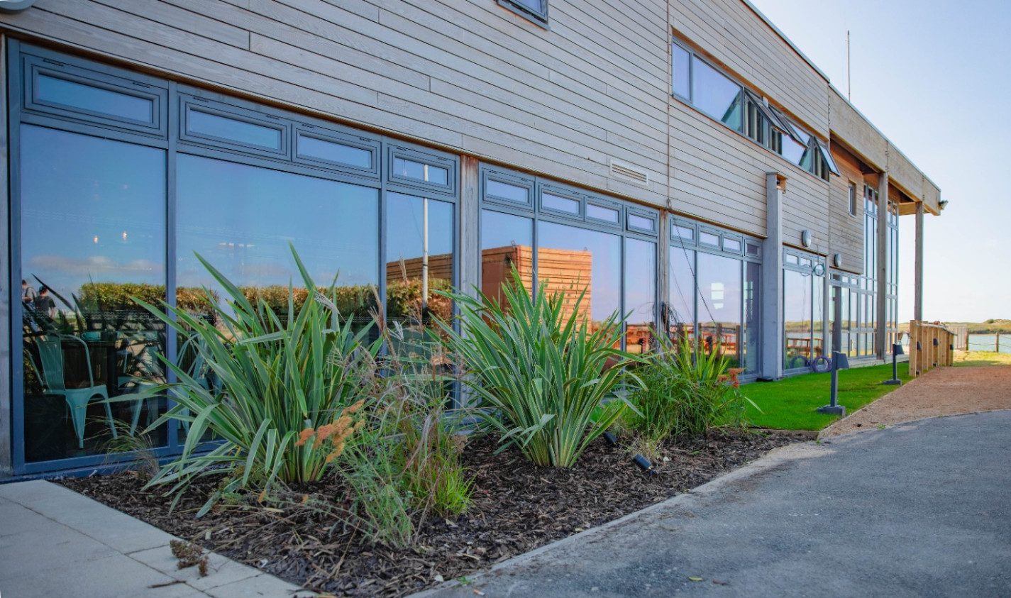 Mustard Seed Lawn & Garden Tiny seed of an idea grows into award win